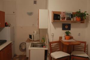 a small kitchen with a sink and a microwave at Lucka in Ústí nad Labem +10 photos