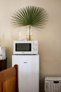 a microwave and a plant on top of a refrigerator at Palm La Vie in Worcester