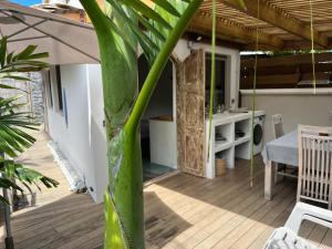 a tropical house with a palm tree on the deck at Paillote Plume Bleue in Saint-Leu +27 photos