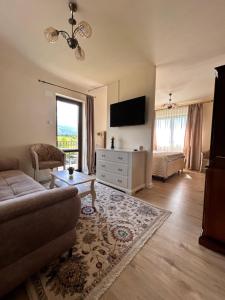 a living room with a couch and a tv at Pensiunea Ivoire in Avrig
