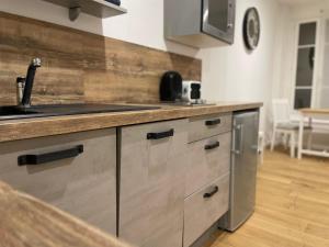 a kitchen with a sink and a counter top at Lyon Standing Historic City Apartment in Lyon