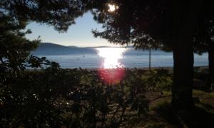 Galeriebild der Unterkunft Apartment Mihalj Jadrija-Ground Floor in Jadrija