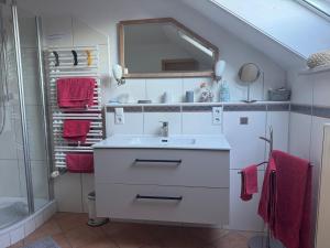a bathroom with a sink and a shower at Sonniges Familien-Nest im Allgäu in Hergatz +37 photos