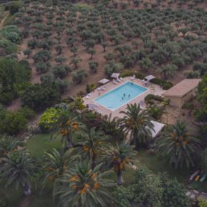 an overhead view of a pool in a field with palm trees at Agriturismo Baglio Vecchio in Castelvetrano Selinunte