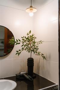 a bathroom with a potted plant on a counter at Kawish House กาวิส เฮ้าส์ in Ban Hua Trut +30 photos