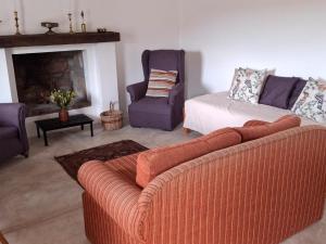 a living room with a couch and a chair and a fireplace at Wild Rescue Nature Reserve in Riversdale