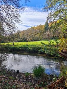 a stream in a field with cows in the background at Les Girouteaux Le Fenil in Les Eyzies-de-Tayac