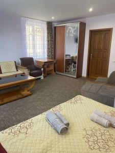 a living room with a ping pong table and a couch at Вілла Верховина in Skhidnitsa