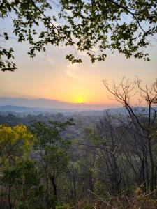 a sunset in the jungle with trees in the foreground at Commander's Home in Kangra