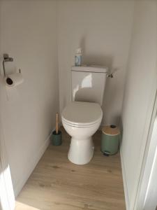 a bathroom with a toilet in a small room at Le 16 Place de l'Abbatiale in Évron