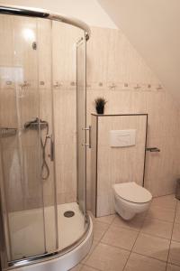 a bathroom with a shower and a toilet at Willa Pod Dobrym Humorem in Miedzygorze +37 photos