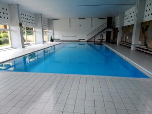 a large swimming pool with blue water in a building at Schönes, modernes Appartement mit Balkon und Indoorpool in Oberteuringen