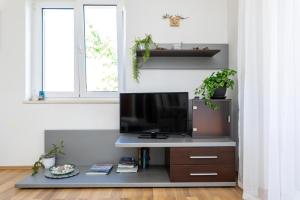 a living room with a flat screen tv on a desk at Apartment Vidak in Vantačići