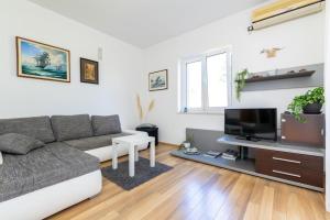 a living room with a couch and a tv at Apartment Vidak in Vantačići