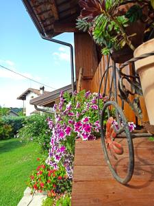 Gallery image of Bed & Breakfast Edelweiss in Massac +14 photos