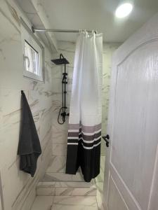 a bathroom with a shower with a shower curtain at Stan na dan Pecinci in Pećinci +3 photos