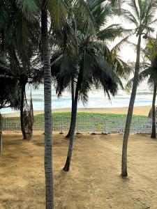 two palm trees on a sandy beach near the ocean at CocoBaru - Private Beachfront Entire Villa in Marawila