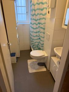 a small bathroom with a toilet and a sink at Stadtmitte Ferienwohnung in Darmstadt