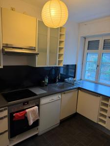 a kitchen with a sink and a stove top oven at Stadtmitte Ferienwohnung in Darmstadt +4 photos