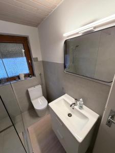 a bathroom with a sink and a toilet and a mirror at Sunroom 2 Bed Apartment West Town B17 in Heidenheim an der Brenz