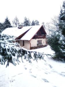 a house covered in snow with trees in the foreground at Penzion Bor in Náchod