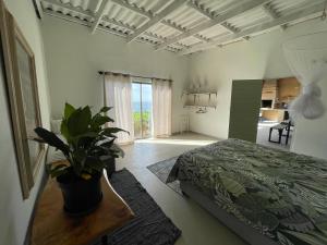 a bedroom with a bed and a plant on a table at Jabula Beach House in Mngazana