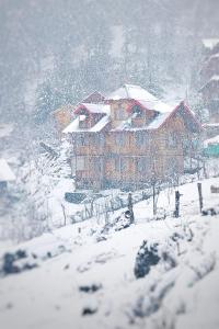 a house is covered with snow in a snow storm at YAARI Shangarh in Shangarh +26 photos