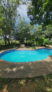 a large blue swimming pool in a yard at HiddenValley in Chartwell