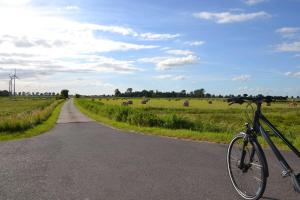 a bike parked on a road next to a field at Doppelzimmer Holthusen 25515 in Weener