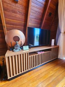 a flat screen tv sitting on top of a wooden wall at Recanto do Guará Cabana in Capitólio