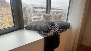 two pillows sitting on a window sill with a blanket at VApartment Nova Vajnorska , private parking in Koliba +87 photos