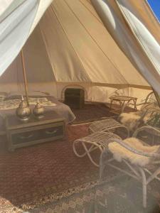 a tent with two cats sitting in chairs in a room at Stenbækgård - Farm Glamping in Højslev