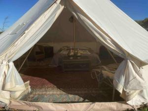 a white tent with a table in the middle at Stenbækgård - Farm Glamping in Højslev +16 photos