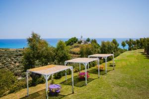 a row of tables with umbrellas in a field at Agriturismo biologico 'A Lanterna in Marina di Monasterace