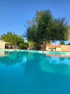 a swimming pool with blue water and a tree at Family Inn in San Rafael