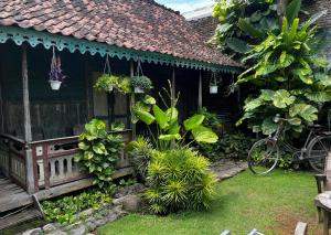 a house with a bunch of plants in the yard at Happy House Bromo backpacker in Probolinggo