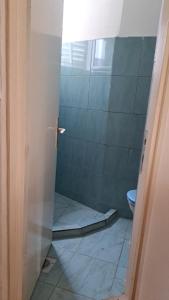a bathroom with a shower with a toilet in it at Apartmani Primorski hrast in Bar