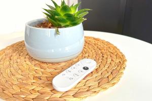 a remote control next to a potted plant on a table at Modernes City-Apartment in Krefeld - BEUYS Apartments Krefeld in Krefeld