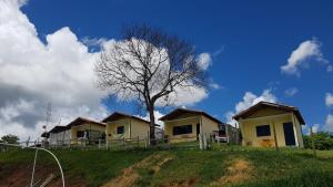a row of houses on a hill with a tree at Chalé Romântico in Extrema +12 photos