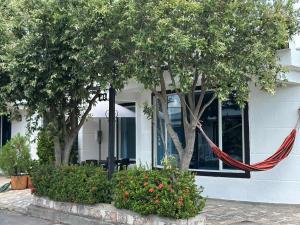 a hammock hanging from two trees in front of a house at Casa Los Mangos 4 Piscinas 6 Camas y mucho Sol in Flandes +19 photos
