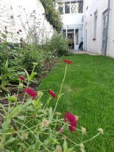 a yard with red flowers in the grass at Maastricht House Anne in Maastricht