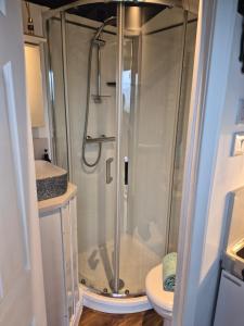 a glass shower in a bathroom with a toilet at Shepherds Hut in Staithes
