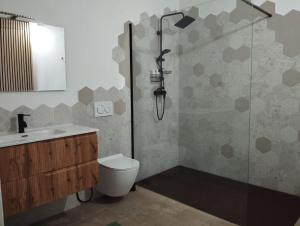 a bathroom with a shower and a toilet and a sink at B&B Occhio di Adone in Monzuno