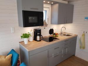 a kitchen with a counter with a sink and a microwave at Hausboot Hecht mit Dachterrasse in Schleswig in Schleswig