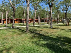 a group of trees in front of a building at Camping Village Viareggio in Viareggio
