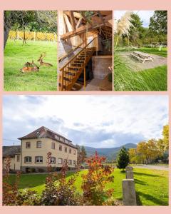 a collage of pictures of a house and a building at La Perle d'Alsace in Bernardswiller