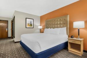 a hotel room with a large bed and a lamp at Pear Tree Inn Cape Girardeau West in Cape Girardeau +29 photos