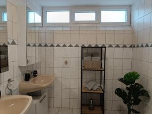 ein Badezimmer mit Waschbecken, Spiegel und zwei Fenstern in der Unterkunft Ella Ferienwohnung in Arnoldstein + 24 Fotos