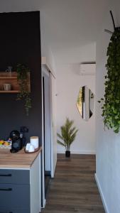 a kitchen with a counter and a potted plant at Panoramic Box in Vişeu de Sus