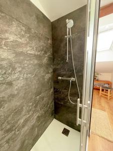 a shower in a bathroom with a gray wall at La Maisonnette de Carreaux in Azay-le-Rideau +24 photos